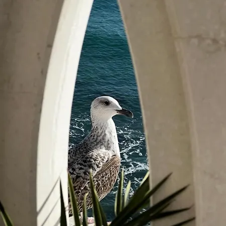 Sky & Sea Златни пясъци